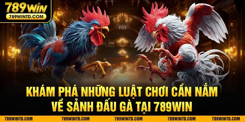 Khám phá những luật chơi cần nắm về sảnh đấu gà tại 789Win 